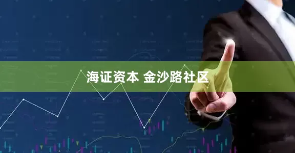 海证资本 金沙路社区