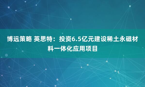 博远策略 英思特：投资6.5亿元建设稀土永磁材料一体化应用项目