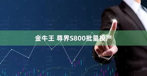 金牛王 尊界S800批量投产