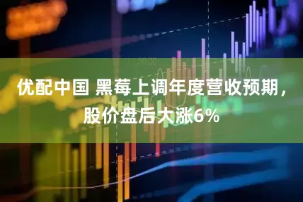 优配中国 黑莓上调年度营收预期，股价盘后大涨6%
