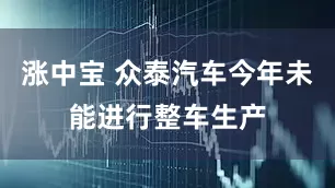 涨中宝 众泰汽车今年未能进行整车生产