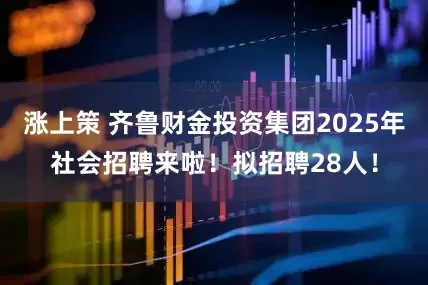 涨上策 齐鲁财金投资集团2025年社会招聘来啦！拟招聘28人！