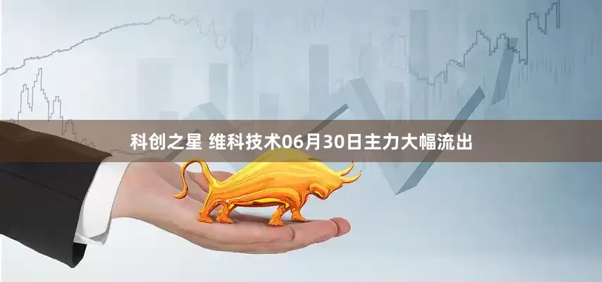 科创之星 维科技术06月30日主力大幅流出