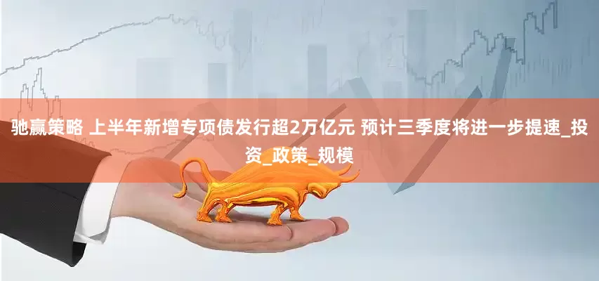 驰赢策略 上半年新增专项债发行超2万亿元 预计三季度将进一步提速_投资_政策_规模