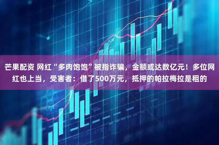 芒果配资 网红“多肉饱饱”被指诈骗，金额或达数亿元！多位网红也上当，受害者：借了500万元，抵押的帕拉梅拉是租的