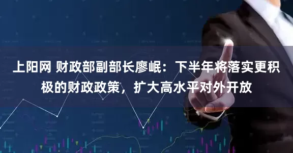 上阳网 财政部副部长廖岷：下半年将落实更积极的财政政策，扩大高水平对外开放