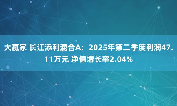 大赢家 长江添利混合A：2025年第二季度利润47.11万元 净值增长率2.04%