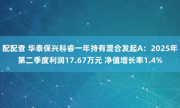 配配查 华泰保兴科睿一年持有混合发起A：2025年第二季度利润17.67万元 净值增长率1.4%