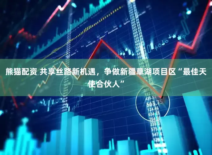 熊猫配资 共享丝路新机遇，争做新疆草湖项目区“最佳天使合伙人”