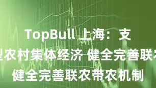 TopBull 上海：支持发展新型农村集体经济 健全完善联农带农机制